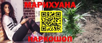 spice Кунгур