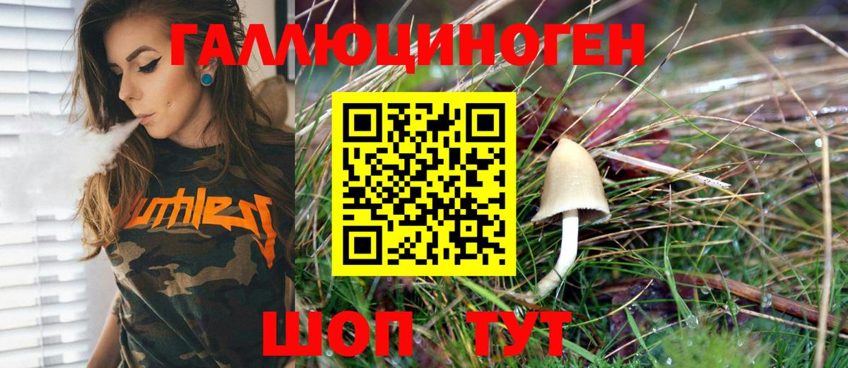 Псилоцибиновые грибы Magic Shrooms  Вход с VPN  купить наркотик  Псилоцибиновые грибы мухоморы  Дзержинский 