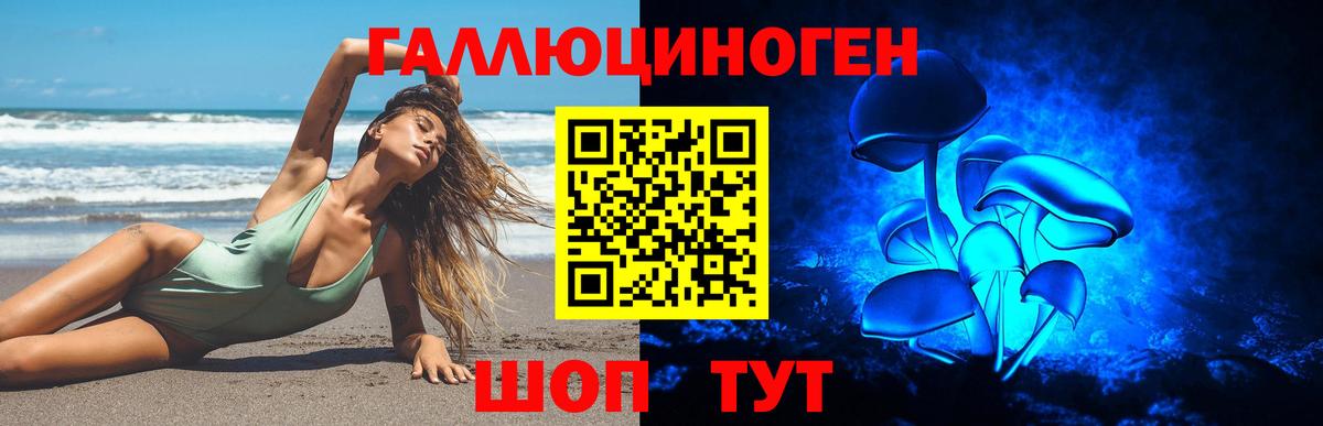 Галлюциногенные грибы Cubensis Дзержинский